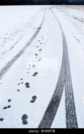 Reifenspuren, menschliche und tierische Spuren auf einer verschneiten Straße nach dunklem Holz. Die Scheinwerfer eines Autos in weiter Ferne. Stockfoto