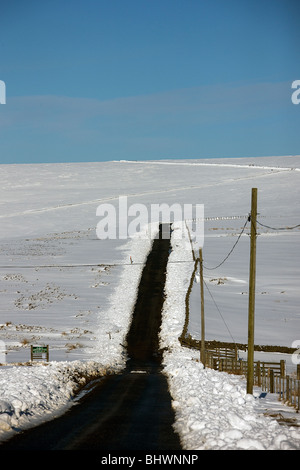 Lammermuir Hügel. Schottland. Stockfoto