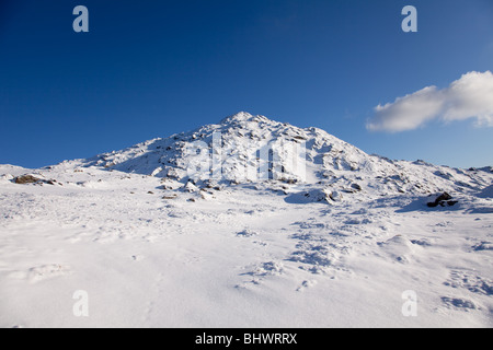 Beinn Resipol ist ein Corbett, einem schottischen Hügel zwischen 2500' und 3000' hoch. Es befindet sich im Sunart im Hochland Stockfoto