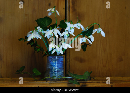 Schneeglöckchen in Vase auf Büffet Stockfoto