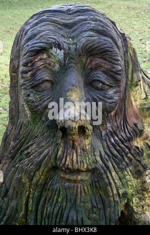 Geschnitzte hölzerne alte Männerkopf im Sefton Park, Merseyside, UK Stockfoto