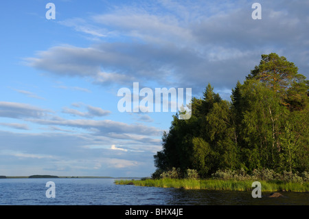 Das schöne Bild der karelischen Waldrand am Ufer eines Sees auf blau und bewölkten Himmelshintergrund Stockfoto