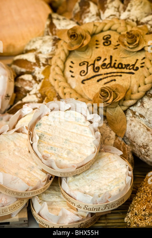 Place De La Madeleine in Paris Frankreich Hediard Gourmet-Shop, Schaufenster Stockfoto