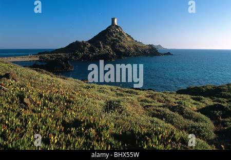 Parata Punkt oder Landspitze Pointe De La Parata, mit genuesischen Turm und Îles Sanguinaires Inseln, in der Nähe von Ajaccio, Korsika, Frankreich Stockfoto