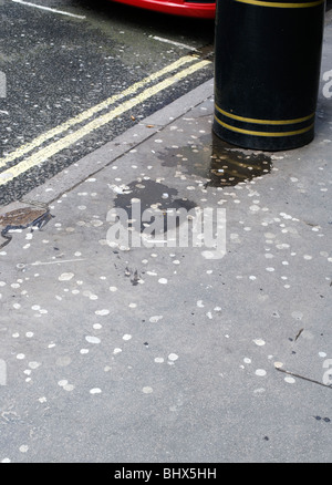 Kaugummi ausgespuckt auf Bürgersteig, London, England, UK, Europa Stockfoto