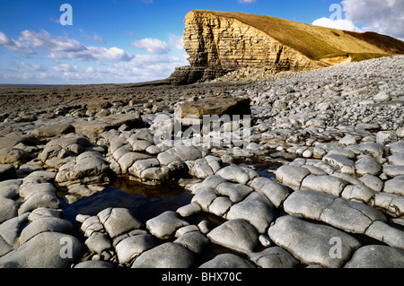 Klippen bei Nash Punkt in South Wales betrachtet von Kalkstein und Tonstein Felsstrand an einem sonnigen Tag. Stockfoto