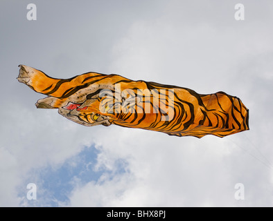 große Tiger Drachen in den Himmel Stockfoto