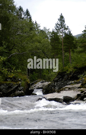 Ein Gebirgsfluss in Norwegen mit Bäumen und Felsen. Stockfoto