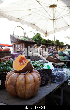 Großen Kürbis auf dem Markt in Beaune, Frankreich Stockfoto