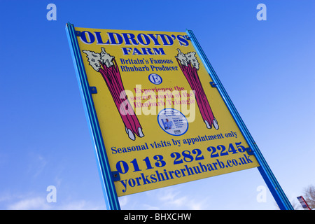 Oldroyd die Rhabarber-Farm in Yorkshire Stockfoto