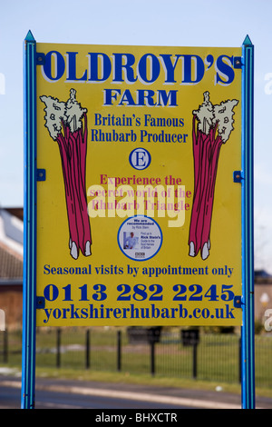 Oldroyd die Rhabarber-Farm in Yorkshire Stockfoto