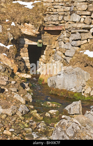 Eingang zum harte Ebene, führen eine alte mine im Swaledale, Yorkshire Stockfoto