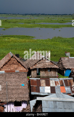 Der Amazonas Regenwald von Peru ist sehr artenreichen und seine seltene Tiere, Pflanzen und indigenen Kulturen bedroht sind. Stockfoto