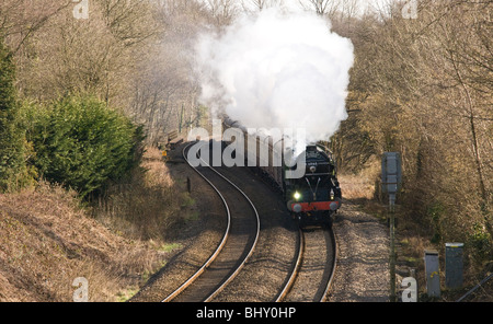 St. Davids Express, auf der Durchreise Wales am St. Davids Tag, gezogen von einer Dampflokomotive Tornado im Auftrag 2009 Stockfoto