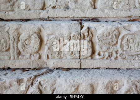 Escalinata Jeroglifica, hieroglyphische Treppe Copan Ruinas, Honduras Stockfoto