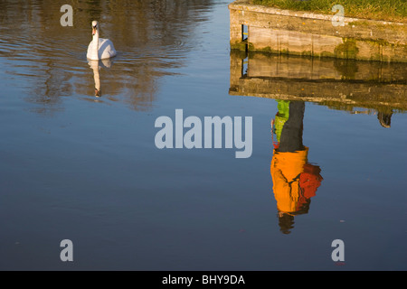 Swan und Reflexion der Wanderer. Themse flussabwärts des Henley-on-Thames. Oxfordshire. England. UK Stockfoto