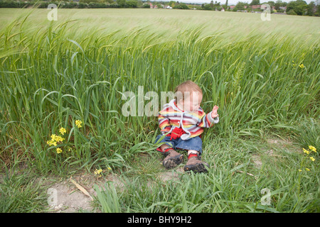 16 Monate altes Mädchen sitzt am Gerstenfeld. Stockfoto