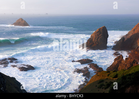 Abendlicht am Offshore-Felsnadeln entlang der südlichen Küste von Oregon im Port Orford Köpfe State Park. Stockfoto