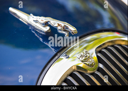 Jaguar Symbol auf dem Auto Motorhaube Stockfoto