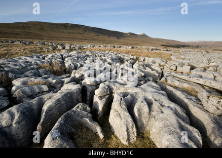 Ein Winter-Blick auf Whernside, in den Yorkshire Dales National Park, aus dem Kalkstein Pflaster von Skalen Moor Stockfoto