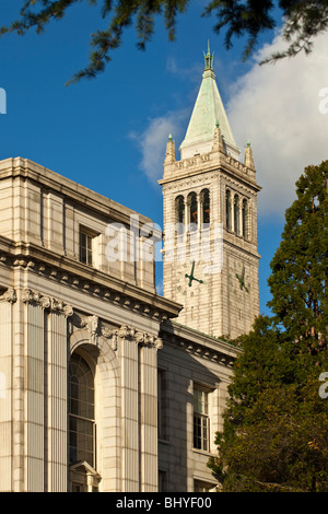 Sather Tower ("The Campanile") erhebt sich hinter Wheeler Hall auf dem Campus der UC Berkeley. Stockfoto