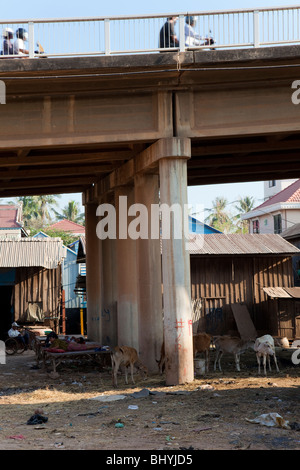 Cham-Hausbesetzer Leben unter einer Brücke - Phnom Penh, Kambodscha Stockfoto