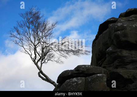 Brimham Rocks, Yorkshire, Großbritannien Stockfoto