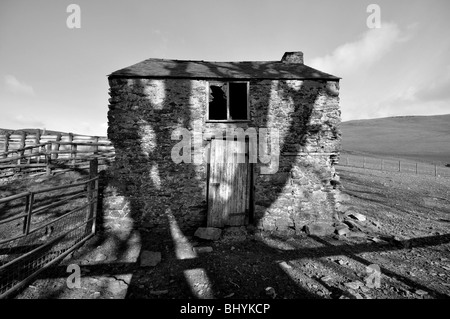 Unheimliche walisischen Scheune mit Schatten eines Baumes in schwarz / weiß Stockfoto