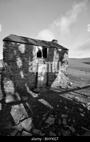 Unheimliche walisischen Scheune mit Schatten eines Baumes in schwarz / weiß Stockfoto