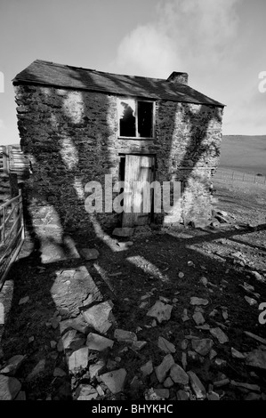 Unheimliche walisischen Scheune mit Schatten eines Baumes in schwarz / weiß Stockfoto