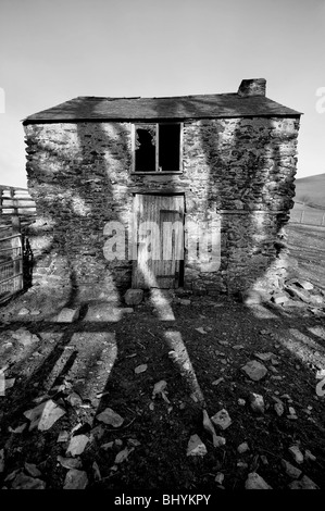 Unheimliche walisischen Scheune mit Schatten eines Baumes in schwarz / weiß Stockfoto