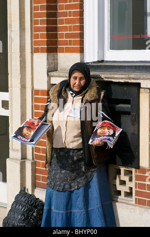 Älteren rumänischen weiblichen Big Issue Verkäufer Stockfoto