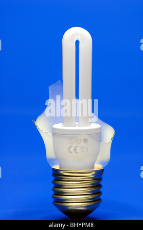 Energiesparlampe in eine defekte Glühbirne Stockfoto