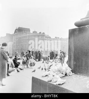 Menschen in Trafalgar Square, City of Westminster, London, c1950 Tauben füttern. Künstler: Henry Grant Stockfoto