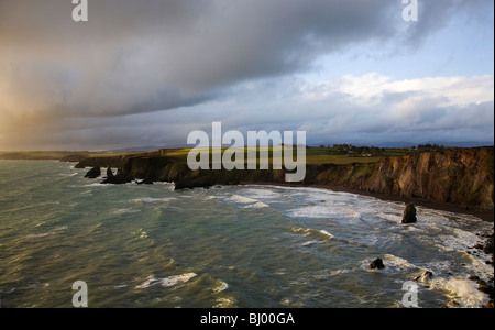 Ballydowane Bucht, in der Nähe von Bunmahon, der Copper Coast Geopark, Grafschaft Waterford, Irland Stockfoto