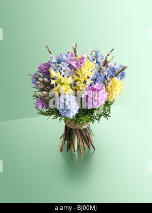 Englisch Frühling Posy Hyazinthe Stockfoto