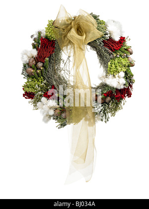 Heather rose Ginster Stockfoto