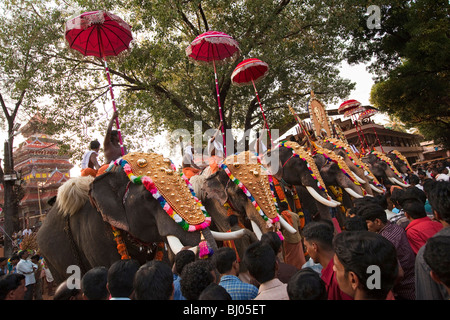 Indien, Kerala, Koorkancherry Sree Maheswaras Tempel, Thaipooya Mahotsavam Festival Linie 9 geschmückten Tempel Elefanten in der Abenddämmerung Stockfoto