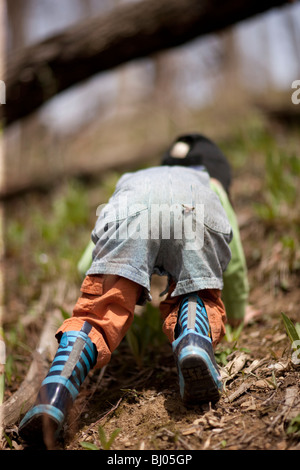 Kleiner Junge Gummi Stiefel Klettern auf einem Hügel im Wald. Stockfoto