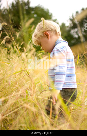 Kleiner junge Kind spielt von oben in einem vorstädtischen Garten im