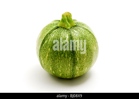 Runde Zucchini auf weißem Hintergrund Stockfoto