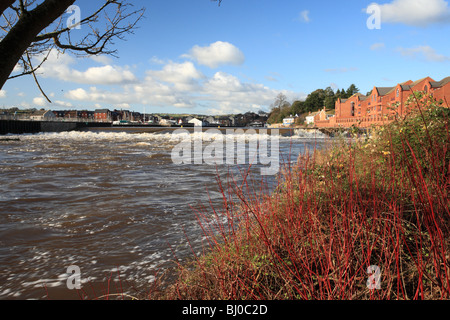 Winter-Blick in Richtung Karottenhosenträger Weir, River Exe in Flut nach den letzten Regen Stockfoto