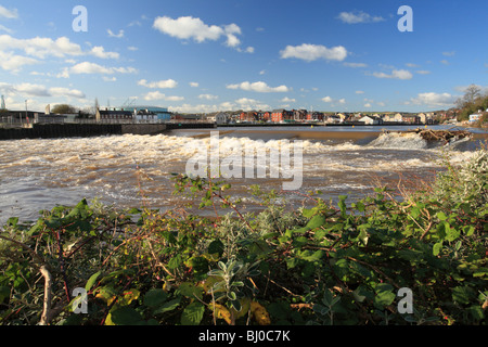 Winter-Blick in Richtung Karottenhosenträger Weir, River Exe in Flut nach den letzten Regen Stockfoto