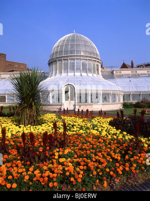 Palm House, botanische Gärten, Belfast, Grafschaft Antrim, Nordirland, Vereinigtes Königreich Stockfoto