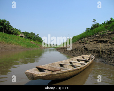 Der Amazonas Regenwald von Peru ist sehr artenreichen und seine seltene Tiere, Pflanzen und indigenen Kulturen bedroht sind. Stockfoto