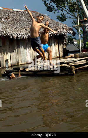 Der Amazonas Regenwald von Peru ist sehr artenreichen und seine seltene Tiere, Pflanzen und indigenen Kulturen bedroht sind. Stockfoto