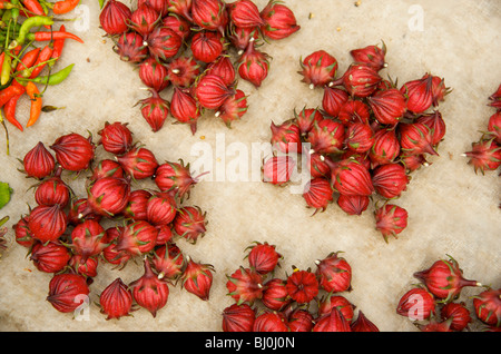 Rot Roselle Hibiskus Obst in Prabang Lebensmittelmarkt Stockfoto