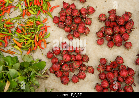 Rot Roselle Hibiskus Obst in Prabang Lebensmittelmarkt Stockfoto