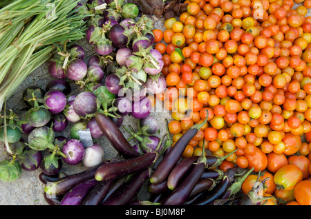 Auberginen und Tomaten in Prabangs morgendlichen Markt Stockfoto