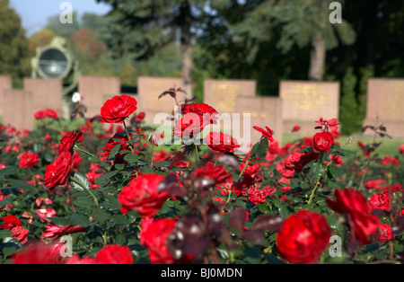 Sowjetischer Soldatenfriedhof auf den Seelower Höhen, Seelow, Deutschland Stockfoto